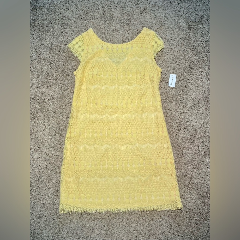 DressBarn Womens Dress Size 8- NWT